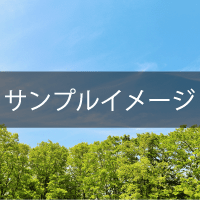 名古屋で人気！WeeAre！！