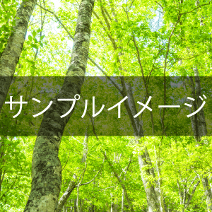 名古屋で人気！WeeAre！！